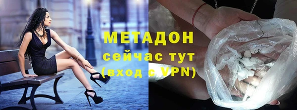 индика Каменка