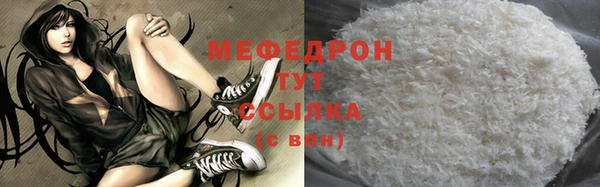 индика Каменка