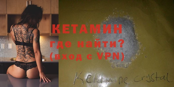 индика Каменка