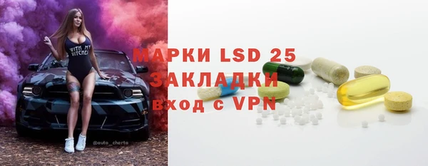 индика Каменка