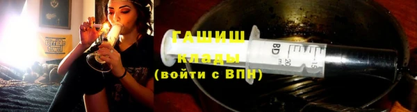 индика Каменка