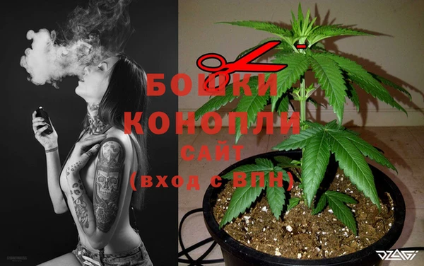 сатива Касимов