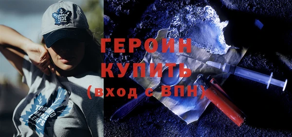 индика Каменка