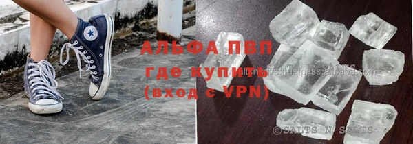 индика Каменка