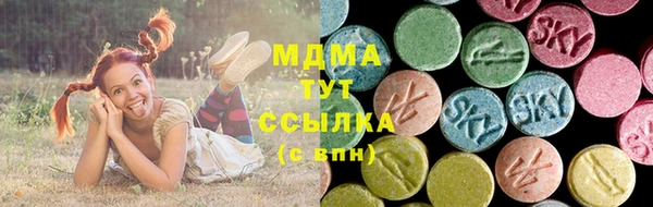 индика Каменка