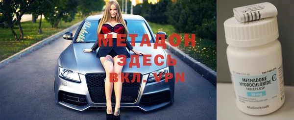индика Каменка