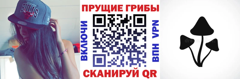сколько стоит  Омск  Галлюциногенные грибы Magic Shrooms 